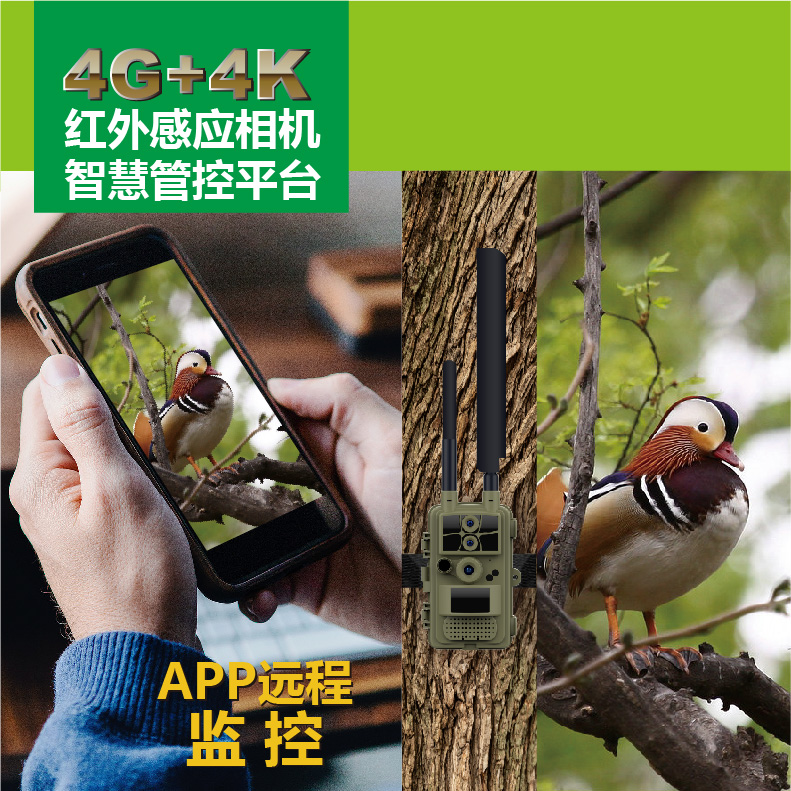 4G+4K智慧管控紅外相機(jī)